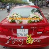 xe hoa 17 - duoi xe.jpg